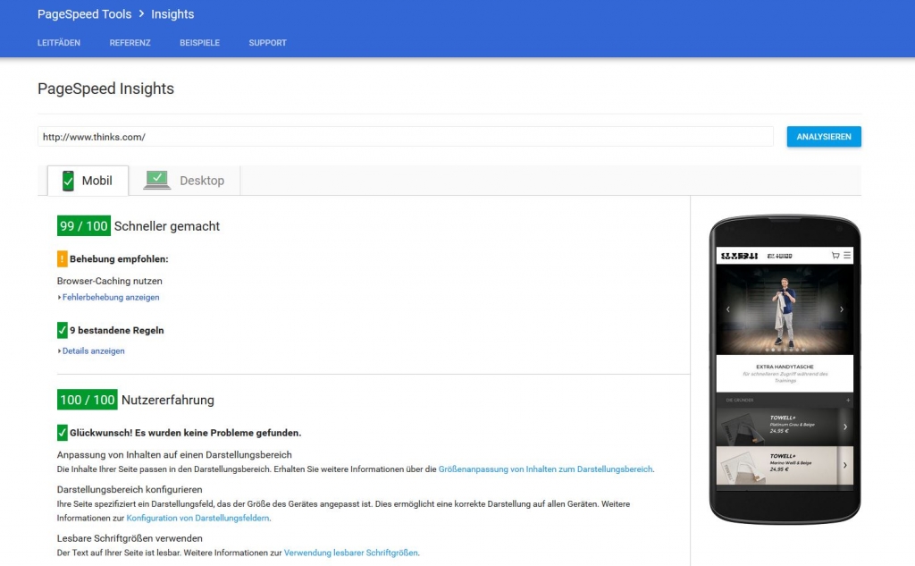 thinks.com Google Pagespeed Insights Mobile 100