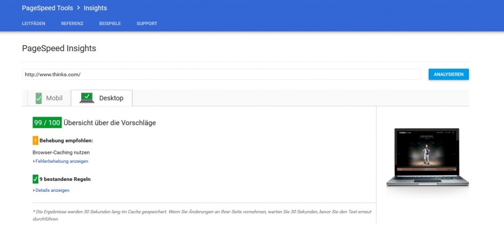 thinks.com Google Pagespeed Insights Desktop 100