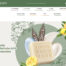 D2C Online Shop hersteller beauty naturkosmetik Magento OS 2 Relaunch