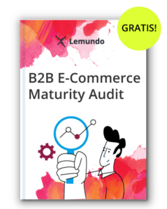 b2b e-commerce analyse status maturity audit potenziale b2b e-commerce analyse status maturity audit potenziale