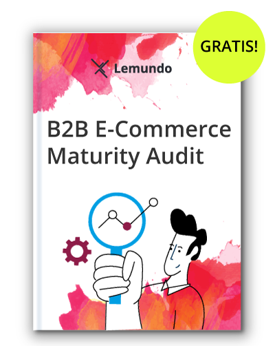 b2b e-commerce analyse status maturity audit potenziale