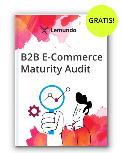 b2b e-commerce analyse status maturity audit potenziale b2b e-commerce analyse status maturity audit potenziale