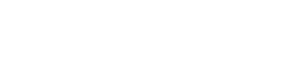 Adobe Partner Agentur Silver Hamburg Stuttgart