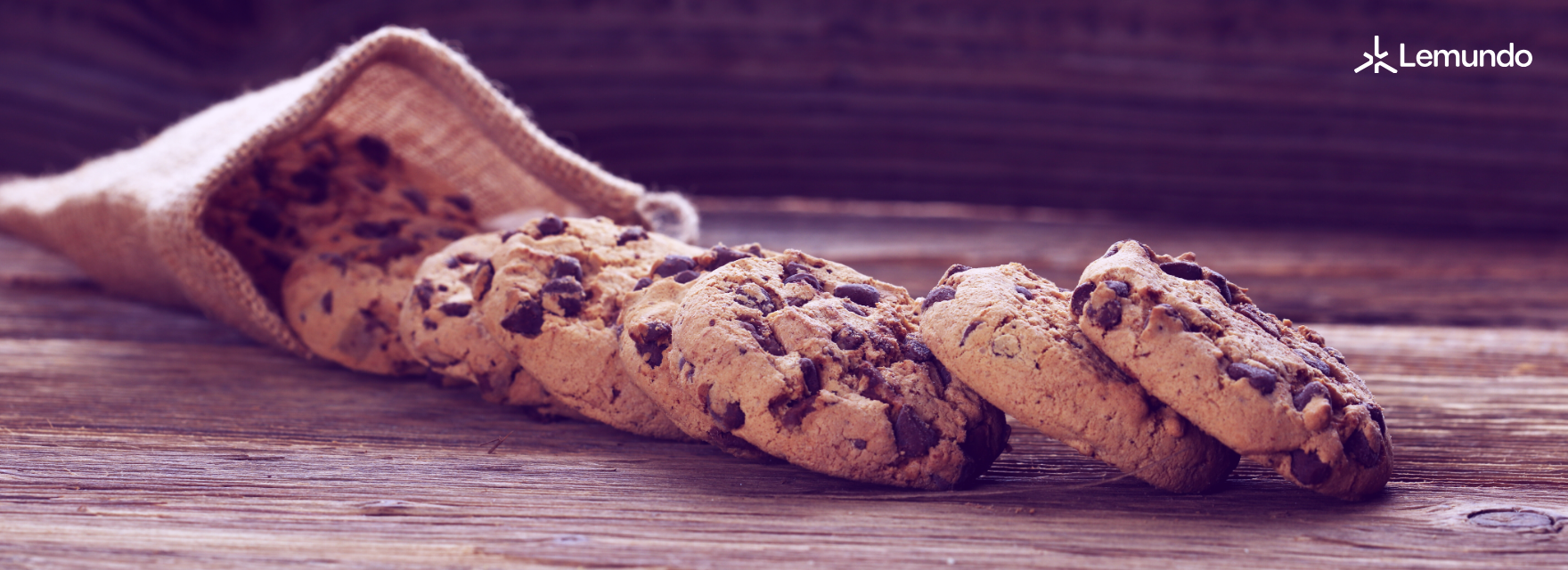 Cookieless Future – Sterben Cookies wirklich aus? Teil 1: Der Untergang der 3rd Party Cookies