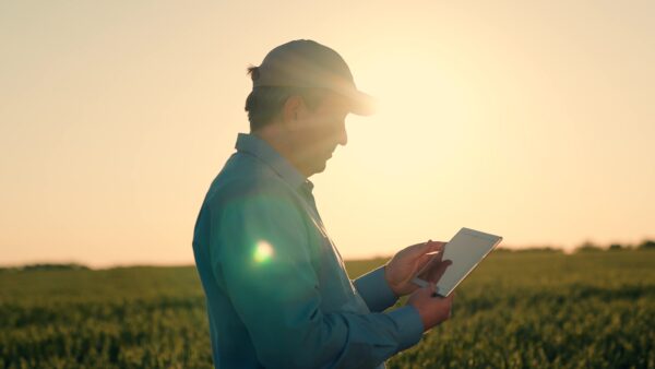 Embracing golden breathtaking sunset, modern farmer harnesses power digital technologies revolutionize agriculture. Witness silhouette dedicated agronomist work wonders field, using tablet optimize every aspect